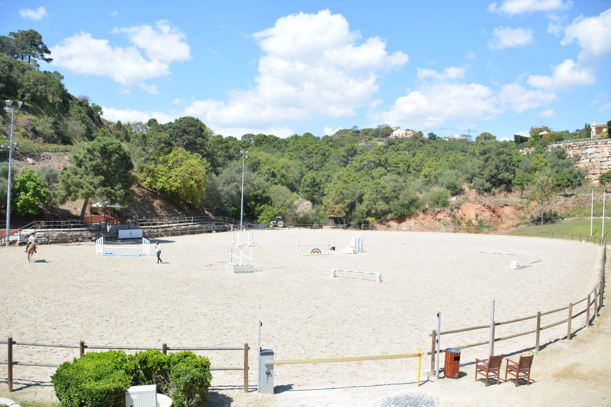 8-e64a9055bba3e77ac8aca3b893cdf826