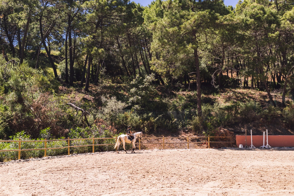 9-467d0cee5b725f3ef65f102a0c2e69c0