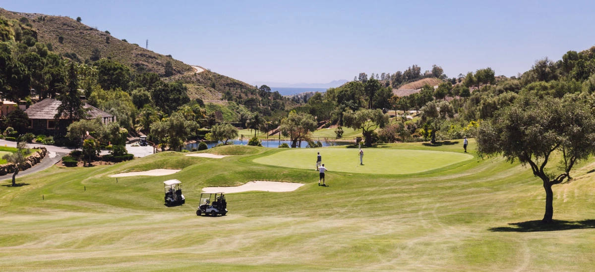 6-241328e1bcc9c0d8ce1222beb6c967a8