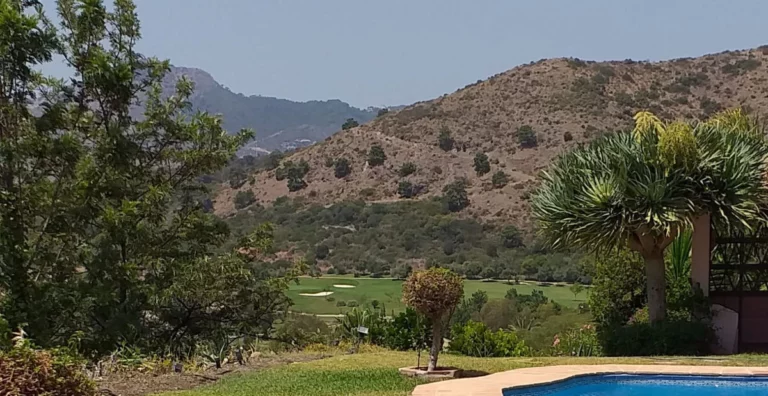 1-7980e48d732b6fc85c14b43b94d2aa54